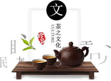 溯源文化